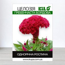Насіння целозії гребінчастої Бордова, 50г