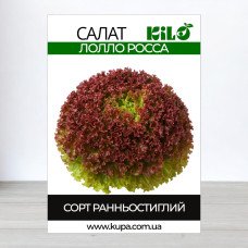 Насіння салату Лолло Росса, 100 г