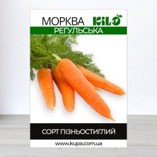 Насіння моркви Регульська, 1кг