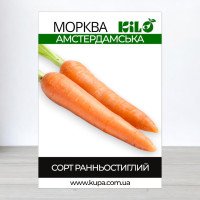 Насіння моркви Амстердамська, 1кг