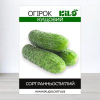 Насіння огірка бджолозапильного Кущовий, 0,5кг