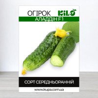 Насіння огірка бджолозапильного Аладдін F1, 0,5кг