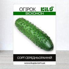 Насіння огірка бджолозапильного Вісконсін, 0,5кг