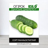 Насіння огірка бджолозапильного Гданське Джерело F1, 0,5кг