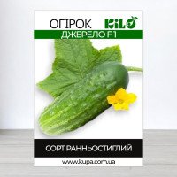 Насіння огірка бджолозапильного Джерело F1, 0,5кг