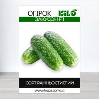 Насіння огірка бджолозапильного Закусон F1, 0,5кг