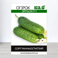 Насіння огірка партенокарпічного Зятьок F1, 0,5кг