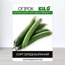 Насіння огірка бджолозапильного Китайський Холодостійкий F1, 0,5кг