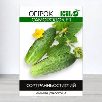 Насіння огірка бджолозапильного Самородок F1, 0,5кг