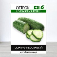 Насіння огірка бджолозапильного Журавльонок F1, 0,5 кг