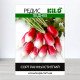 Насіння редису 18 днів, 1кг