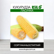 Насіння кукурудзи Ласунка, 1кг