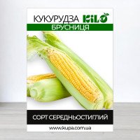 Насіння кукурудзи Брусниця, 1кг