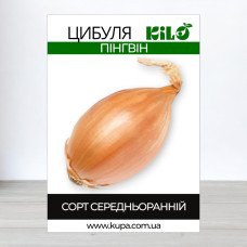 Насіння цибулі Пінгвін, 0,5 кг