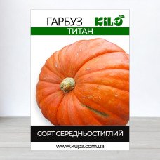 Насіння гарбуза Титан, 0,5 кг