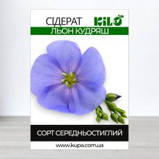 Насіння льону Кудряш, 1кг