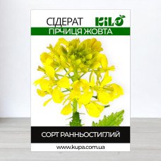 Насіння гірчиці Жовтої, 1кг