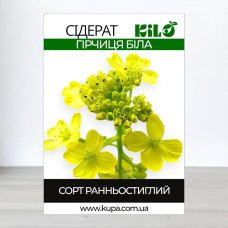 Насіння гірчиці Білої, 1кг