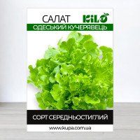 Насіння салату Одеський Кучерявець, 0,5кг