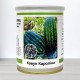 Насіння кавуна Кароліна, Польща, Marvel, банка 100г