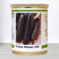 Насіння огірка бджолозапильного Фенікс 640, Україна, Marvel, банка 100г