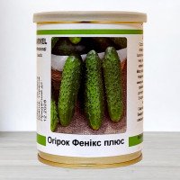 Насіння огірка бджолозапильного Фенікс Плюс, Україна, Marvel, банка 100г