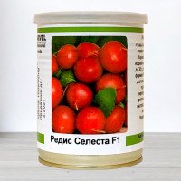 Насіння редису Селеста, Німеччина, Marvel, банка 100г