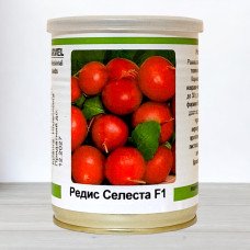 Насіння редису Селеста, Німеччина, Marvel, банка 100г