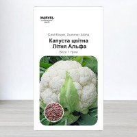 Насіння капусти кольорової Альфа Літня, Чехія, Marvel, 1г