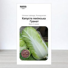 Насіння капусти пекінської Гранат, Польща, Marvel, 3г