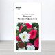 Насіння петунії Рожевий Фламінго, рожевий та білий, Польща, Marvel, 1г