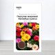 Насіння портулаку Каламбур Суміш, Польща, Marvel, 1г