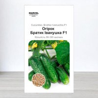 Насіння огірка бджолозапильного Братець Іванушка F1, Молдова, Marvel, 3г, 90-100 насінин