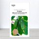 Насіння огірка бджолозапильного Веселі Метелики F1, Китай, Marvel, 3г, 90-100 насінин