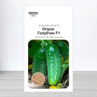 Насіння огірка бджолозапильного Голубчик F1, Молдова, Marvel, 3г, 90-100 насінин