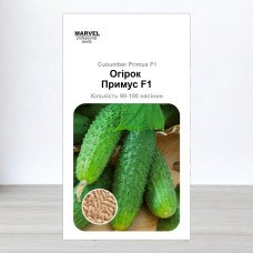 Насіння огірка бджолозапильного Примус F1, Польща, Marvel, 3г, 90-100 насінин