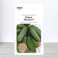 Насіння огірка бджолозапильного Регіна F1, Польща, Marvel, 3г, 90-100 насінин