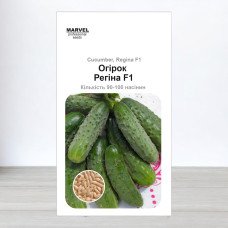 Насіння огірка бджолозапильного Регіна F1, Польща, Marvel, 3г, 90-100 насінин