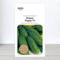 Насіння огірка бджолозапильного Родос F1, Польща, Marvel, 3г, 90-100 насінин