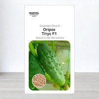 Насіння огірка бджолозапильного Тітус F1, Польща, Marvel, 3г, 90-100 насінин