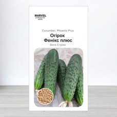 Насіння огірка бджолозапильного Фенікс Плюс, Україна, Marvel, 5г, 200-210 насінин
