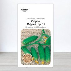 Насіння огірка партенокарпічного Єфрейтор F1, Україна, Marvel, 3г, 90-100 насінин