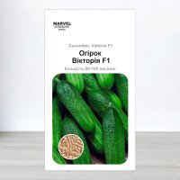 Насіння огірка партенокарпічного Вікторія F1, Польща, Marvel, 3г, 90-100 насінин
