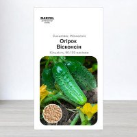 Насіння огірка бджолозапильного Вісконсін F1, Польща, Marvel, 3г, 90-100 насінин