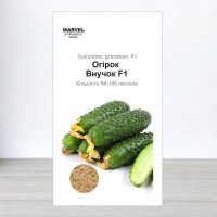 Насіння огірка партенокарпічного Внучок F1, Молдова, Marvel, 3г, 90-100 насінин