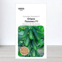 Насіння огірка партенокарпічного Полонез F1, Польща, Marvel, 3г, 90-100 насінин