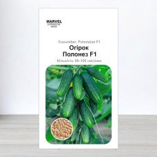 Насіння огірка партенокарпічного Полонез F1, Польща, Marvel, 3г, 90-100 насінин