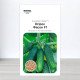 Насіння огірка партенокарпічного Фасон F1, Польща, Marvel, 3г, 90-100 насінин