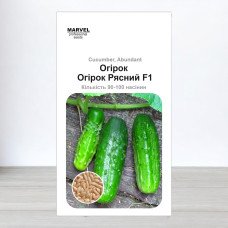 Насіння огірка бджолозапильного Рясний, Україна, Marvel, 3г, 90-100 насінин