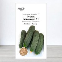 Насіння огірка бджолозапильного Максимус F1, Польща, Marvel, 3г, 90-100 насінин